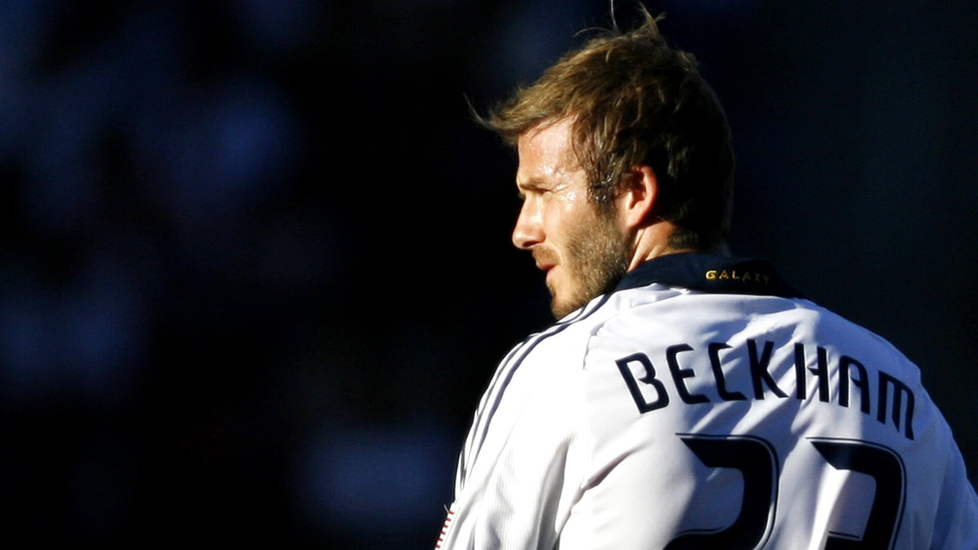 体育新闻中心推动体育场馆传播场景数字化改造，体育场馆信息化建设